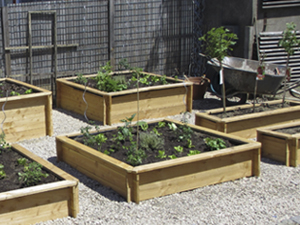 Réalisations bac potager carré différente hauteur